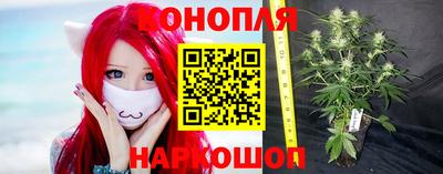 МДПВ Заводоуковск