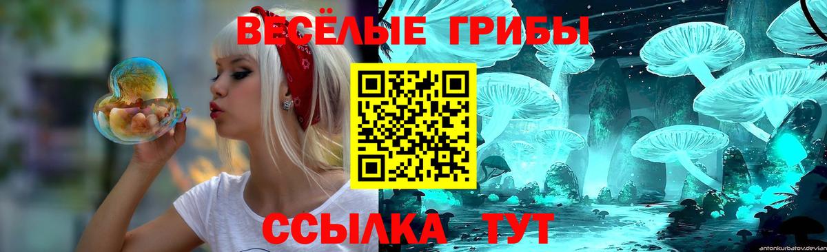 Псилоцибиновые грибы прущие грибы Муром